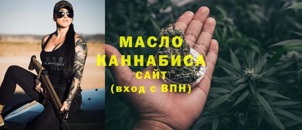 гидра Каменногорск