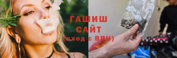 гидра Каменногорск