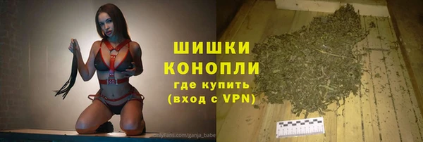 гидра Каменногорск