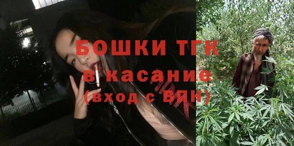 гидра Каменногорск