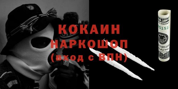 гидра Каменногорск