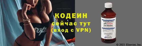 гидра Каменногорск