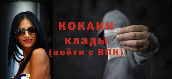 гидра Каменногорск