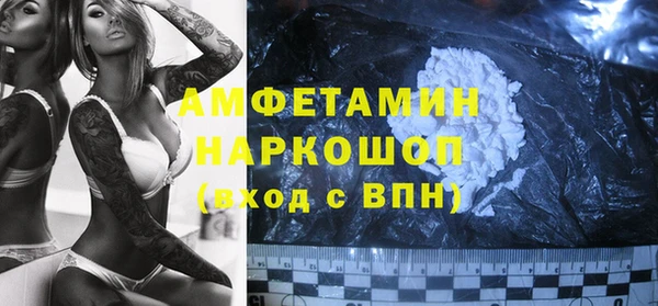 гидра Каменногорск