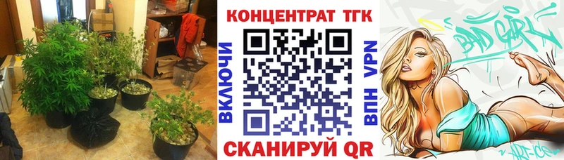 ТГК гашишное масло  Купить закладки  Фрязино 
