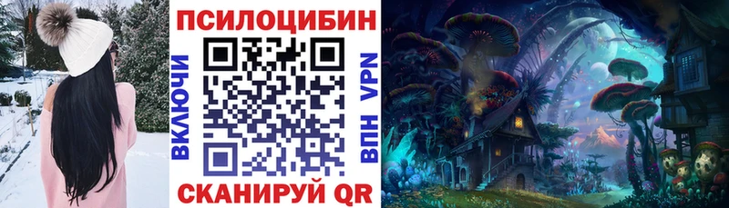 Псилоцибиновые грибы Psilocybe  Купить где  Фрязино 